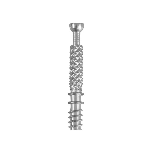 Paraf. Excentrico 55 Aço Zinc.