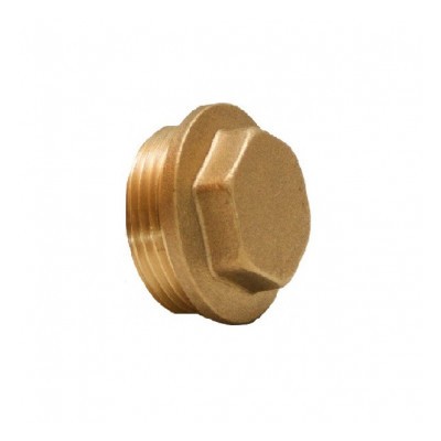 Tampão Latão M 2"