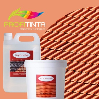 Limpa Telhas Incolor 20Lt Profitinta